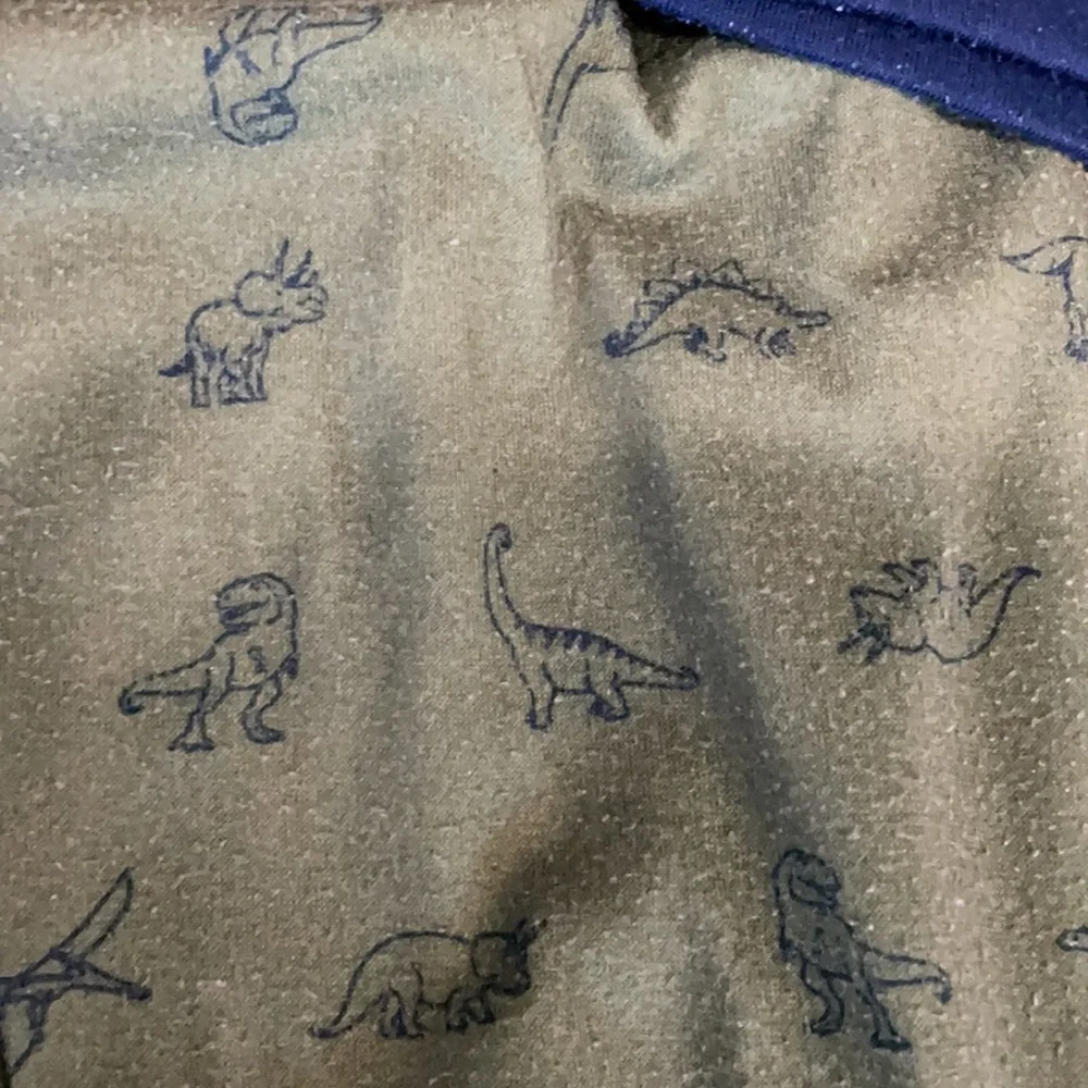 Dino PJs 3T